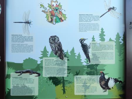 foto - Lovrenska barja - animacija (17)